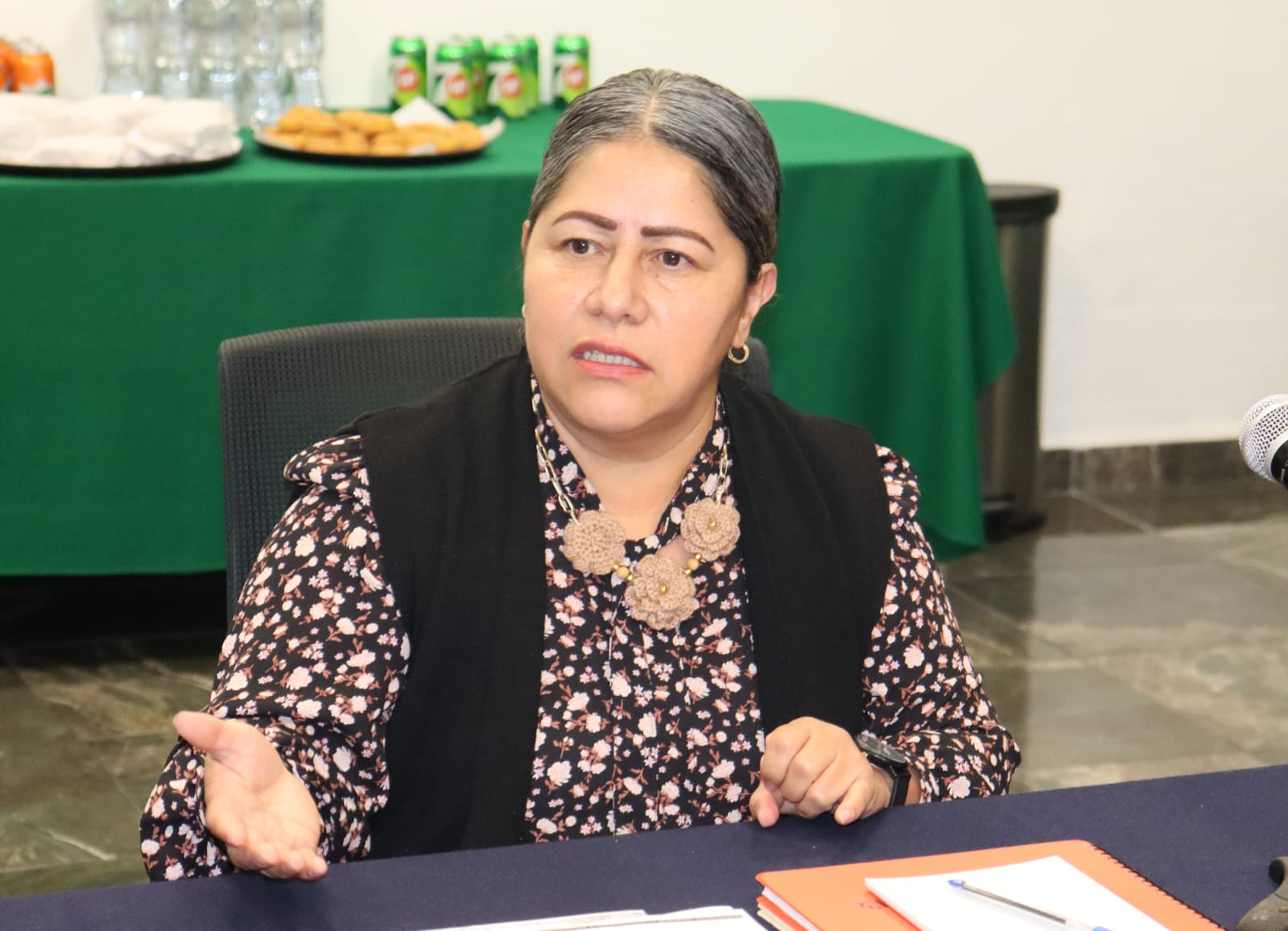 Blanca Águila formaliza solicitud de comparecencia de siete secretarios y fiscal general